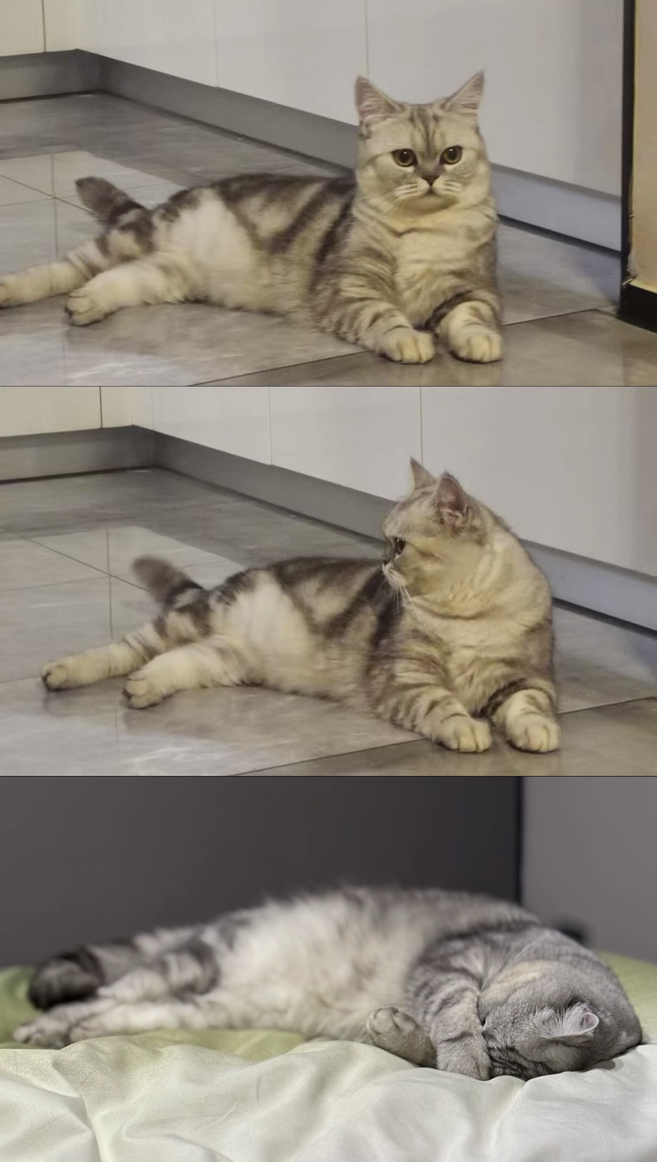 月饼