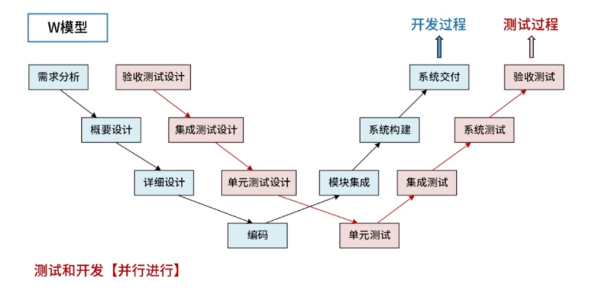 W模型